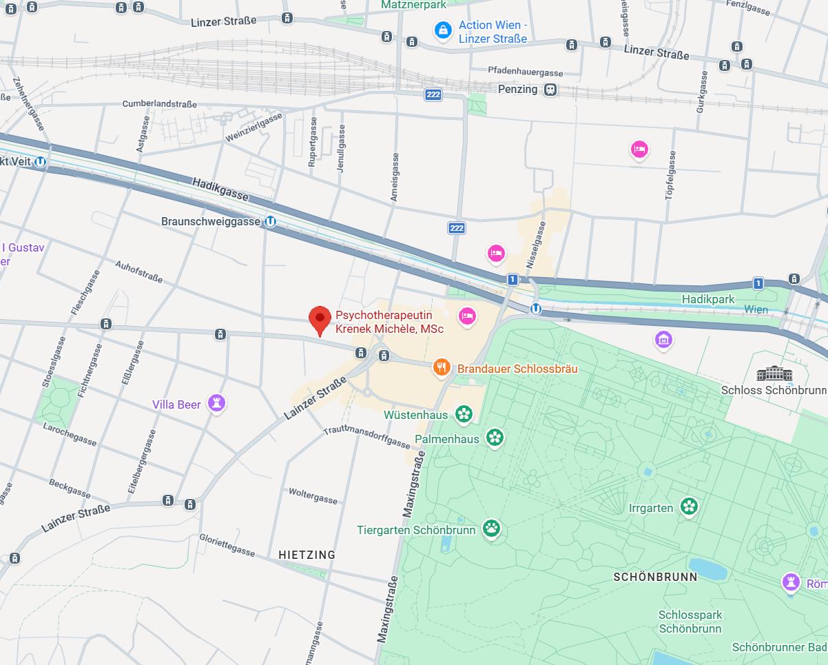 Karte zur Praxis Hietzinger Hauptstraße 36, 1130 Wien