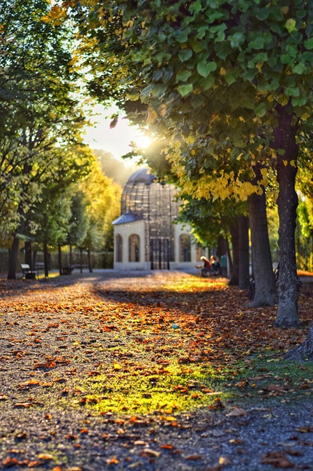 herbst in schönbrunn